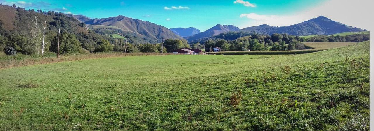 Gite Individuel Au Pays Basque A 1,5Km De St-Jean-Pied-De-Port Saint-Jean-Pied-de-Port Buitenkant foto