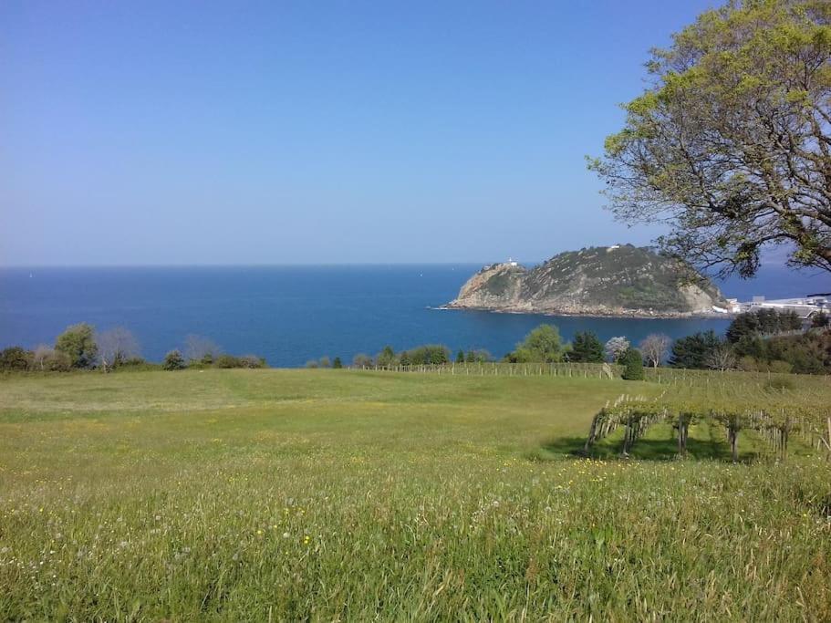 Gite Individuel Au Pays Basque A 1,5Km De St-Jean-Pied-De-Port Saint-Jean-Pied-de-Port Buitenkant foto