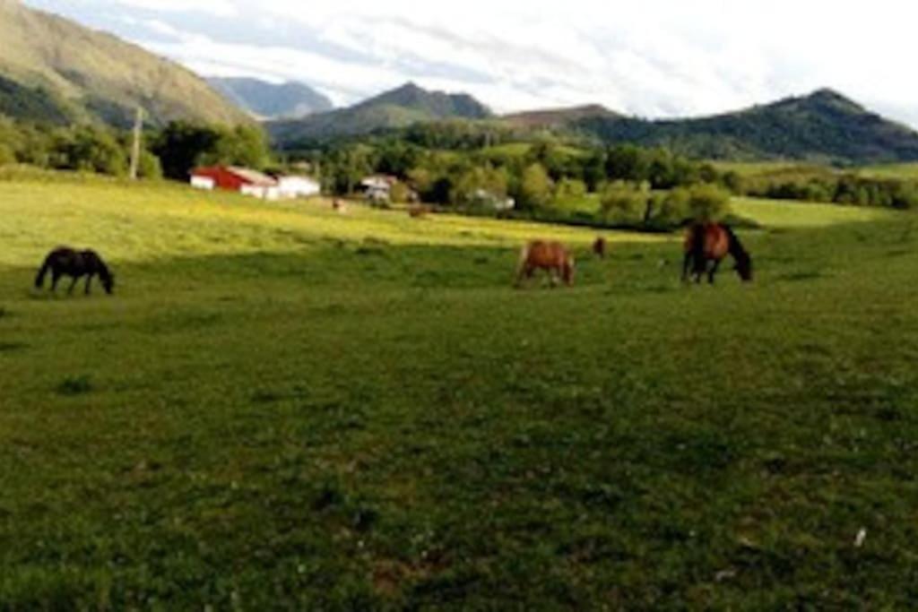 Gite Individuel Au Pays Basque A 1,5Km De St-Jean-Pied-De-Port Saint-Jean-Pied-de-Port Buitenkant foto