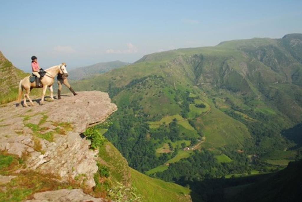Gite Individuel Au Pays Basque A 1,5Km De St-Jean-Pied-De-Port Saint-Jean-Pied-de-Port Buitenkant foto