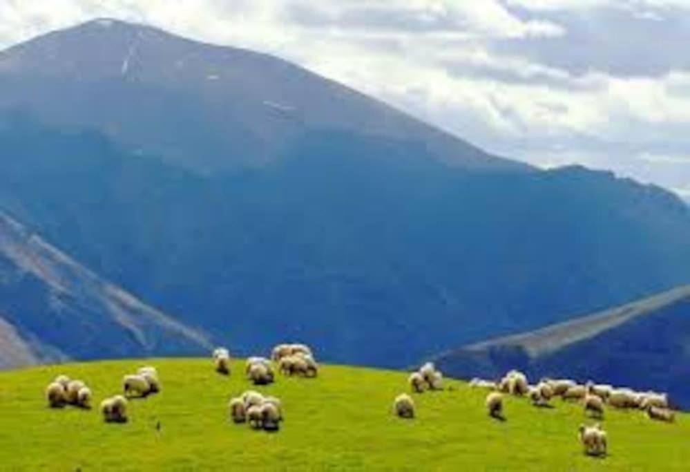 Gite Individuel Au Pays Basque A 1,5Km De St-Jean-Pied-De-Port Saint-Jean-Pied-de-Port Buitenkant foto